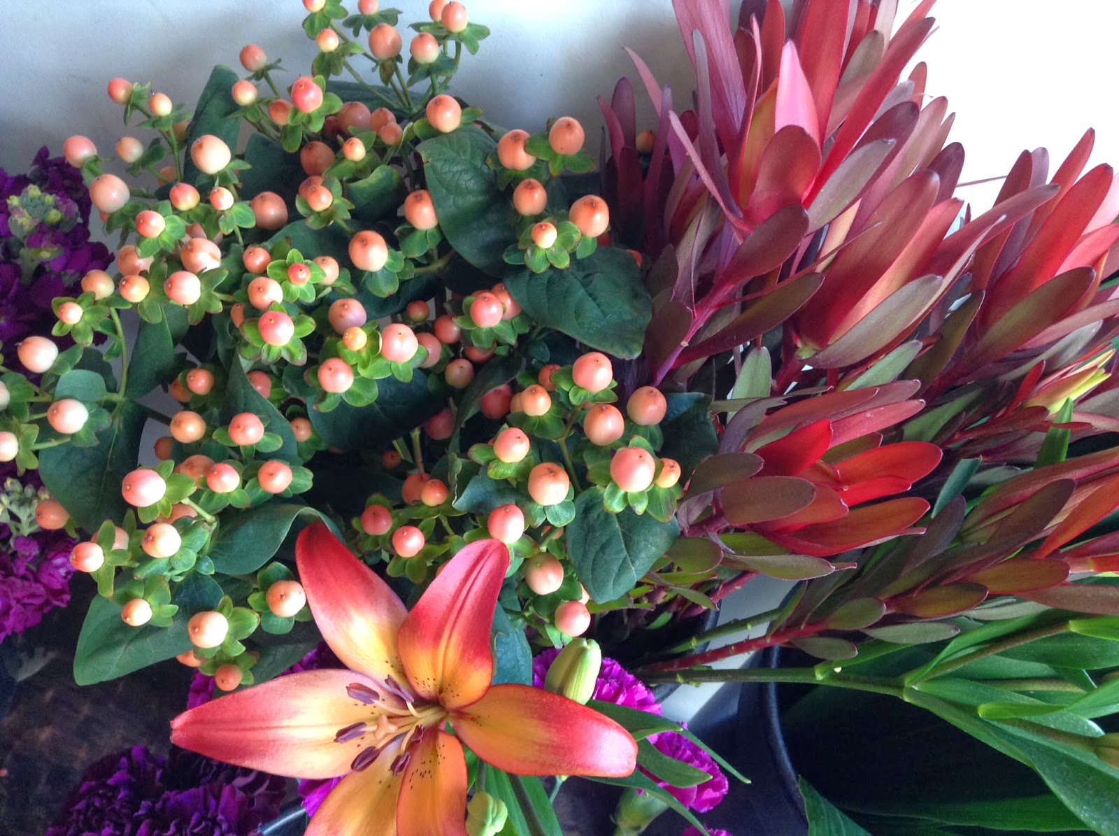 November flowers and fun stuff! Juniper Flowers